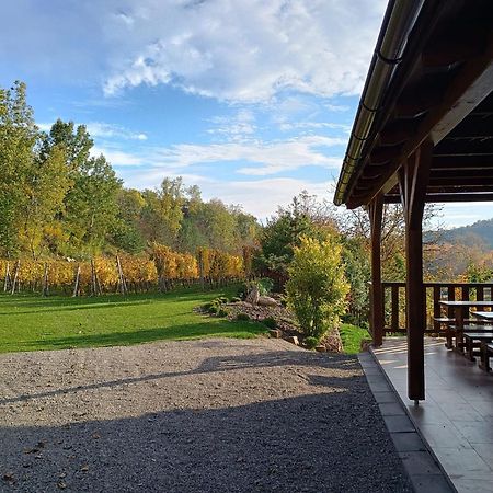 Penzion Ve Vinohrade Němčičky Exterior foto