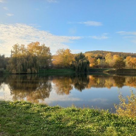 Penzion Ve Vinohrade Němčičky Exterior foto