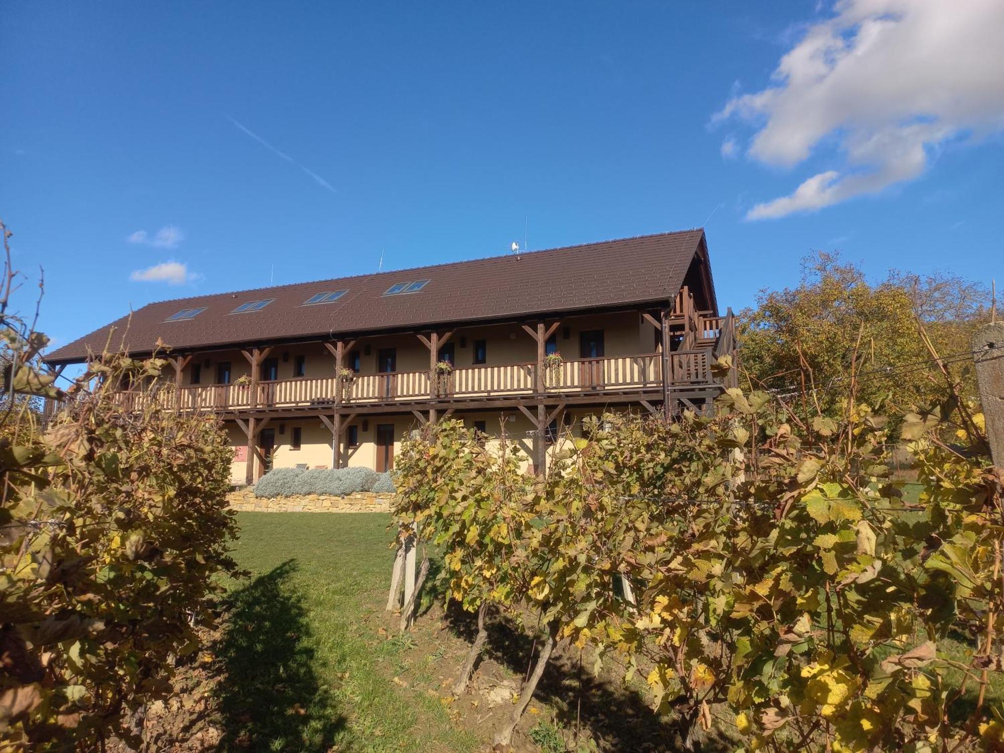 Penzion Ve Vinohrade Němčičky Exterior foto