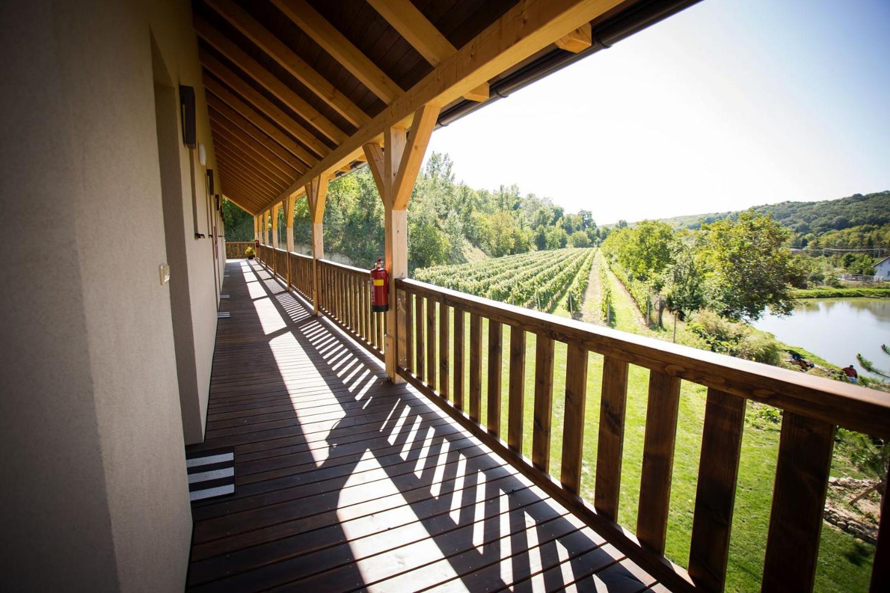 Penzion Ve Vinohrade Němčičky Exterior foto