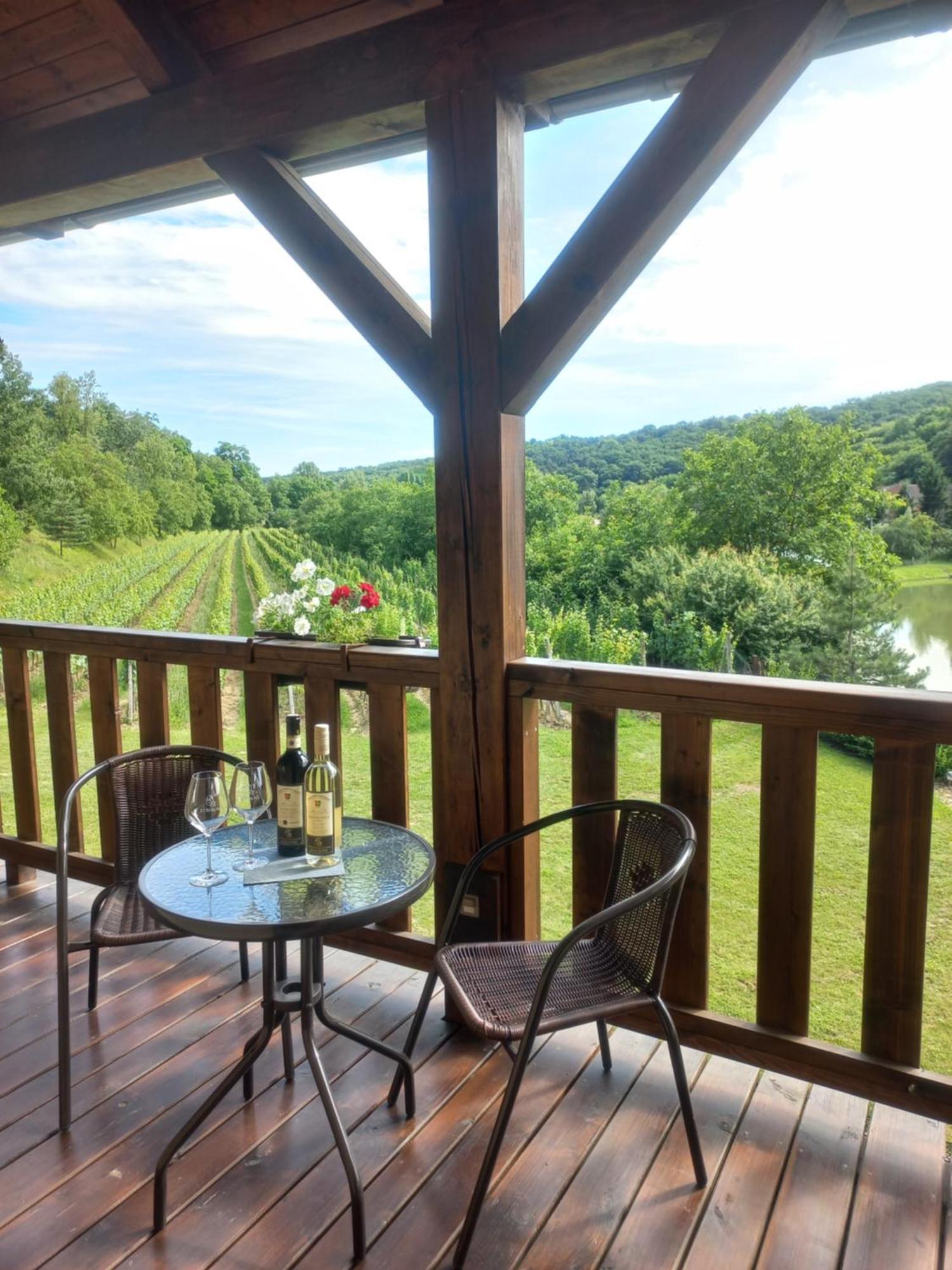 Penzion Ve Vinohrade Němčičky Exterior foto
