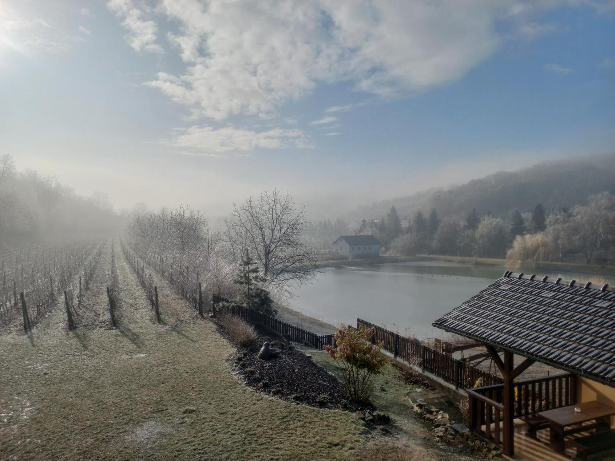Penzion Ve Vinohrade Němčičky Exterior foto
