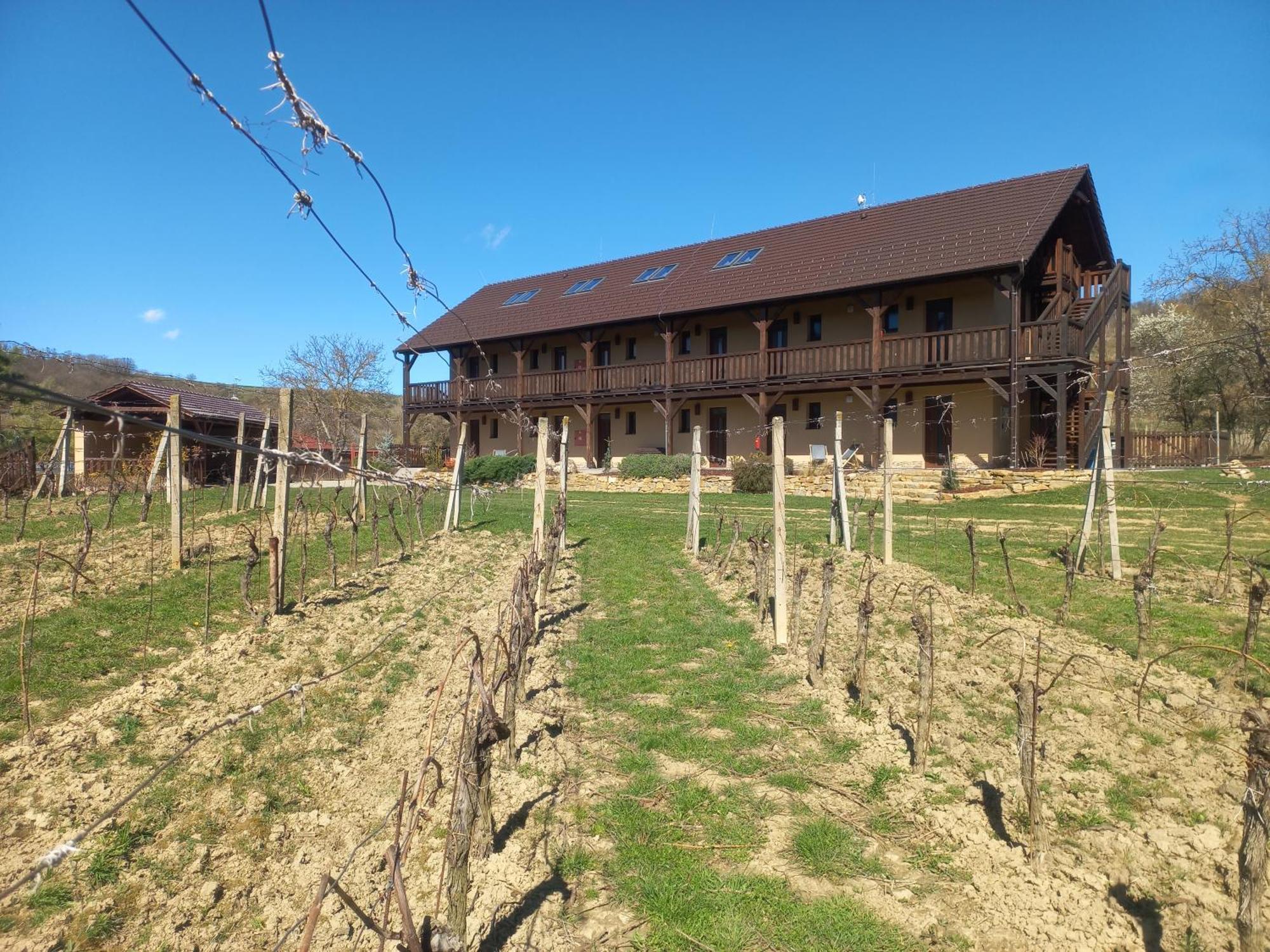 Penzion Ve Vinohrade Němčičky Exterior foto
