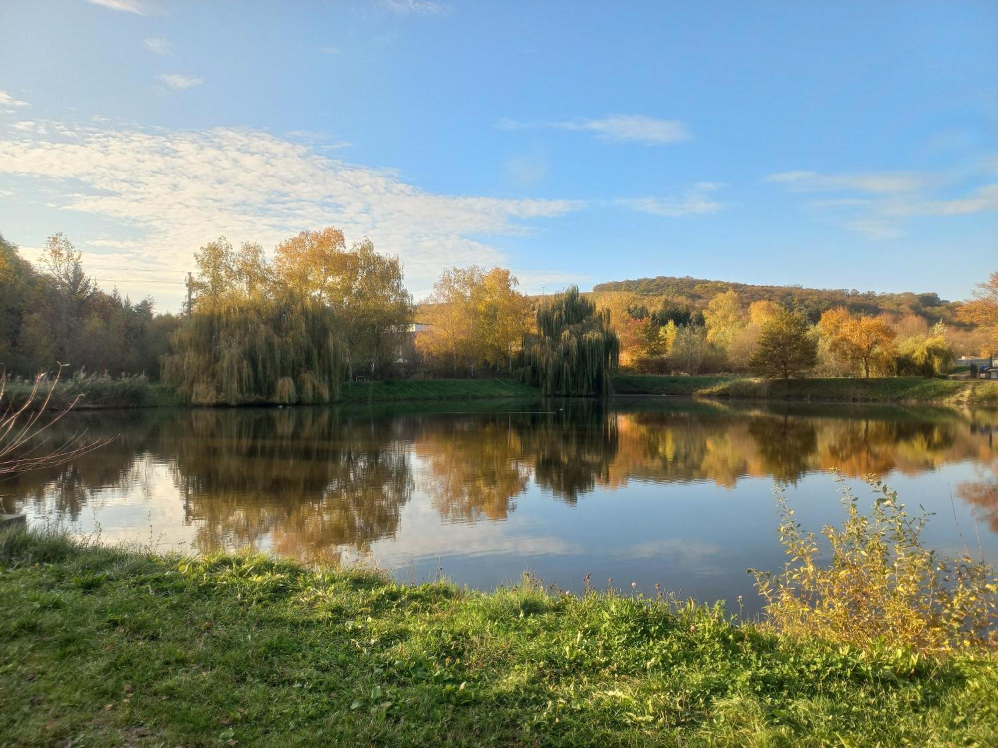 Penzion Ve Vinohrade Němčičky Exterior foto