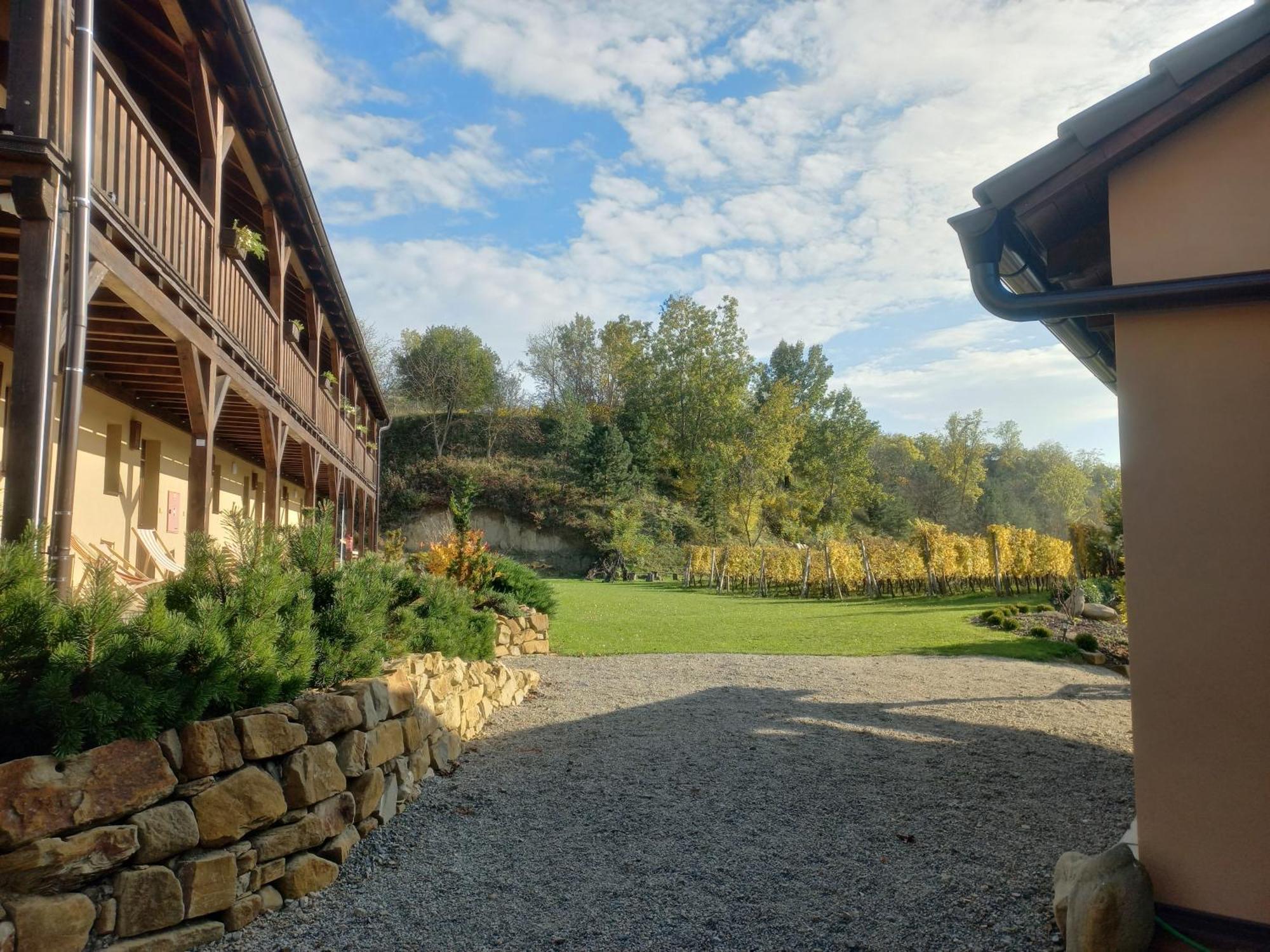Penzion Ve Vinohrade Němčičky Exterior foto
